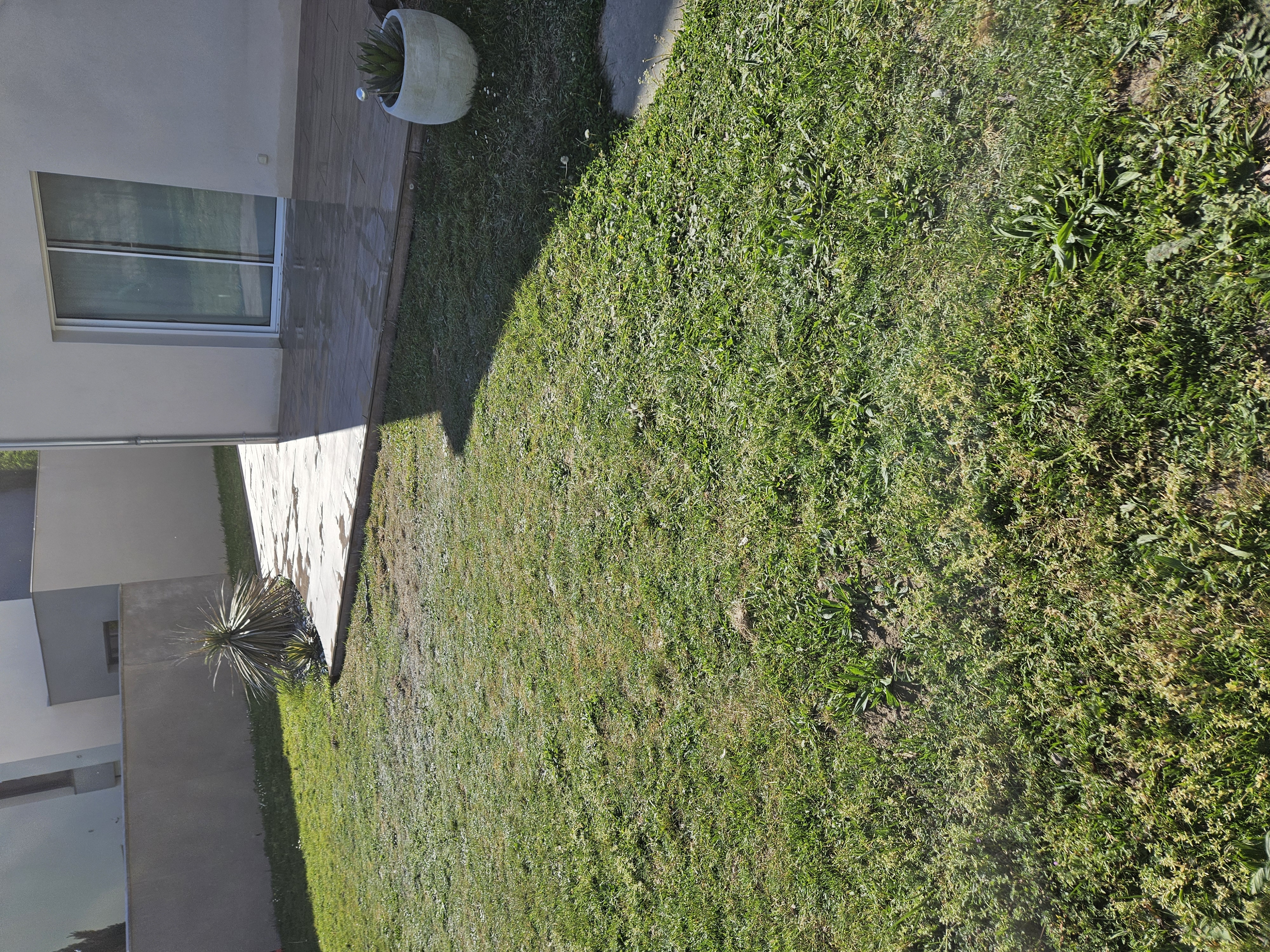 before-image