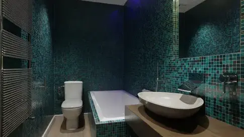 faience salle de bain à Beaucouzé - image 2